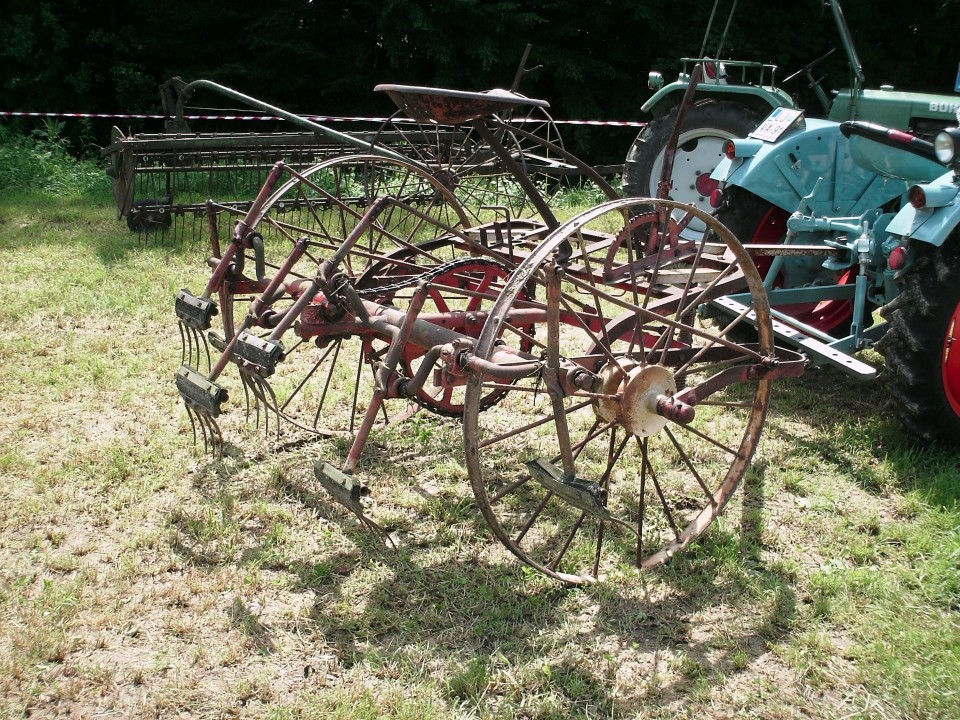 Košnja 2009 - foto povečava