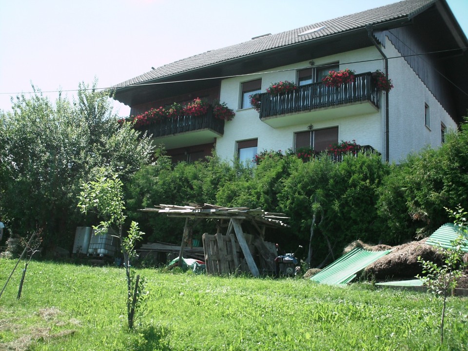 Moped - foto povečava