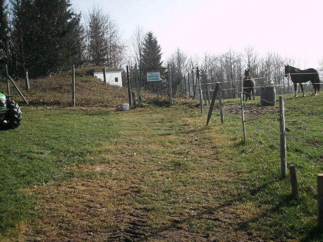 škropljeno 22.11.2009