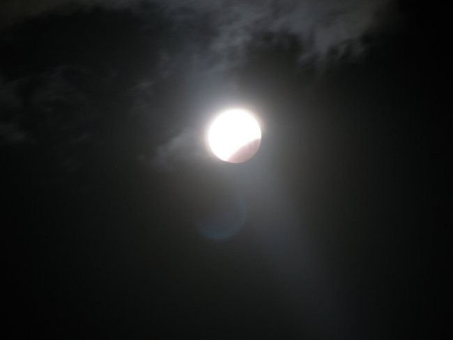 Delni Lunin mrk, 16.08.2008 - foto povečava