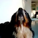 Januar 2008