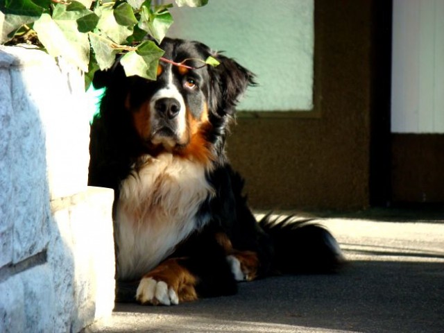 Januar 2008 - foto