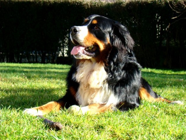 Januar 2008 - foto