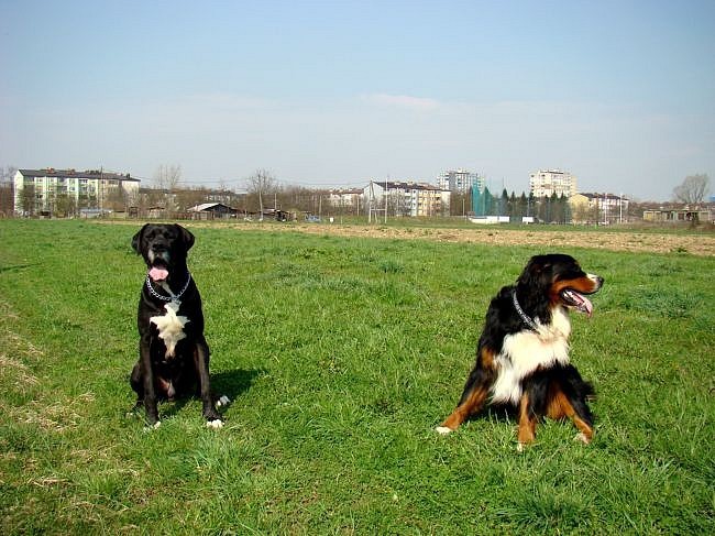 Taj in Boj - 1.4.2008 - foto povečava