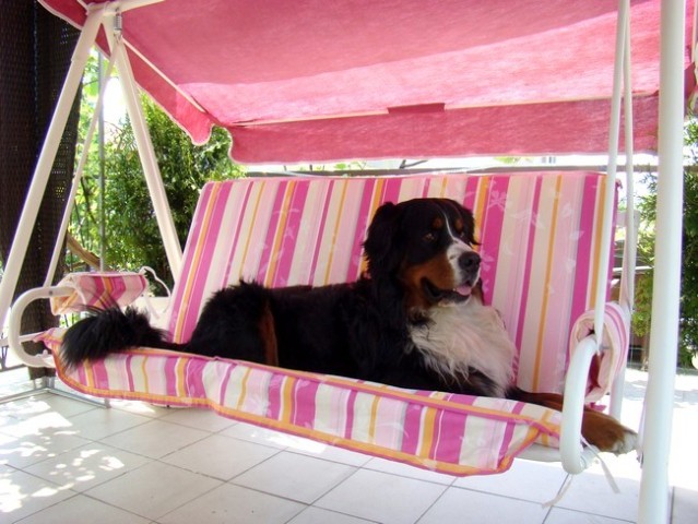 Maj 2008 - foto