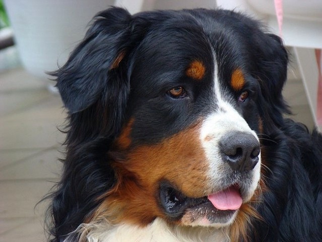 Maj 2008 - foto