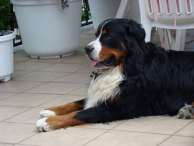 Maj 2008 - foto