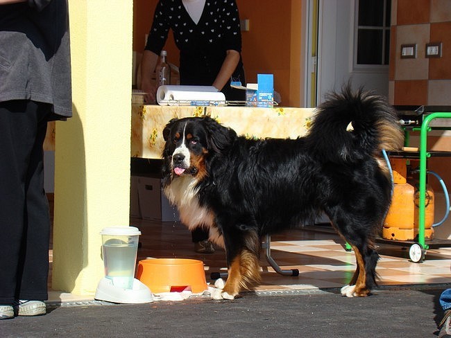 Sestanek-piknik društva PILBPP - Janče - 11.1 - foto povečava