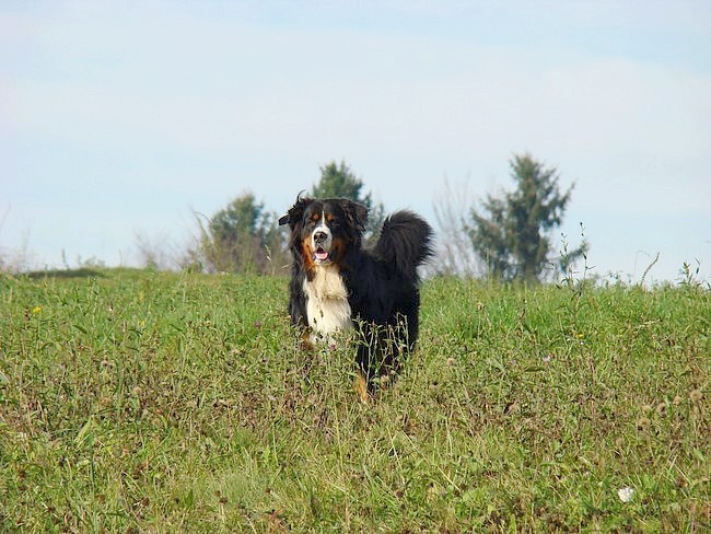 Šmarje - 19.11.2008 - foto povečava