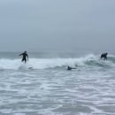 Surfanje na valovih