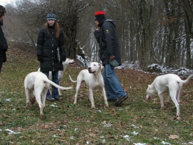 Začasna - foto