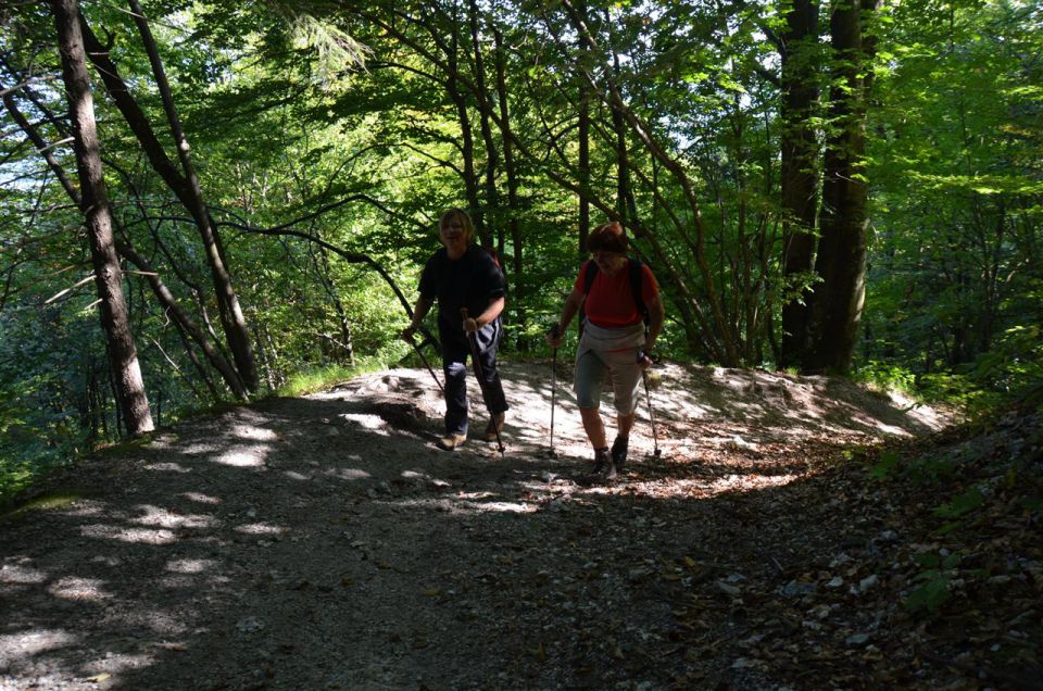 LaVerje2013 - foto povečava