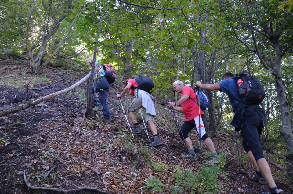 LaVerje2013 - foto povečava