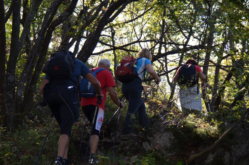 LaVerje2013 - foto povečava