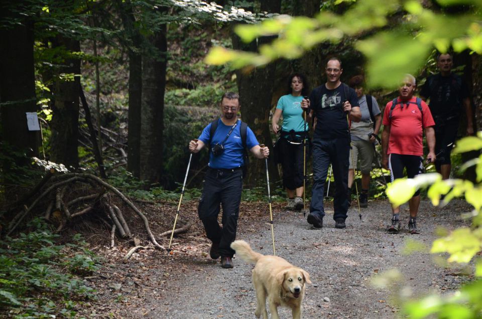 LaVerje2013 - foto povečava