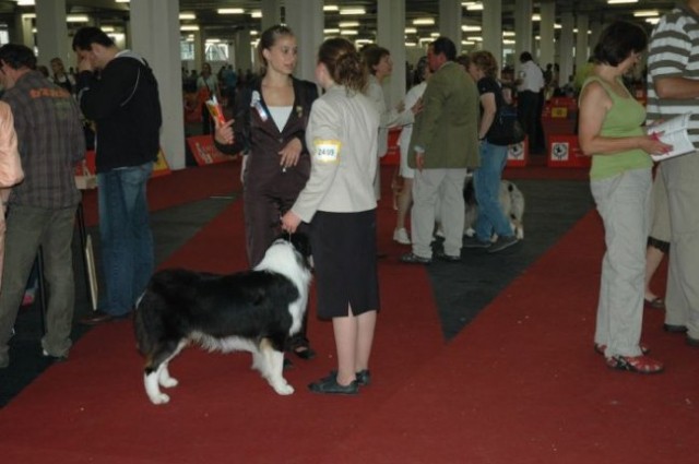 Euro Dog Show 2007 - Zagreb (8.6.2007) - foto