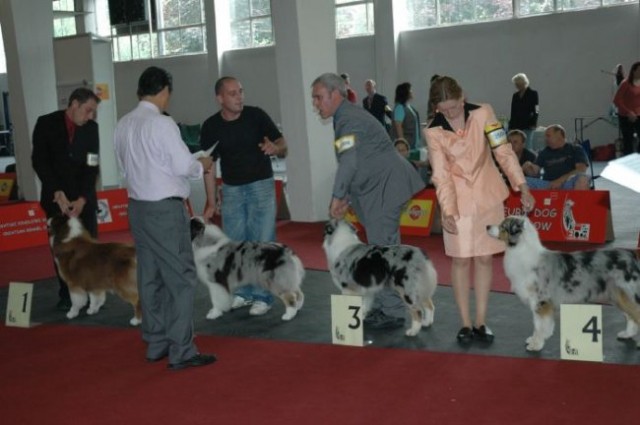 Euro Dog Show 2007 - Zagreb (8.6.2007) - foto