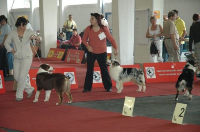 Euro Dog Show 2007 - Zagreb (8.6.2007) - foto