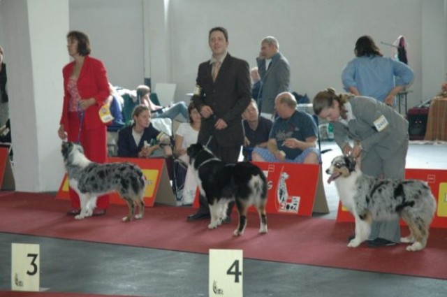 Euro Dog Show 2007 - Zagreb (8.6.2007) - foto