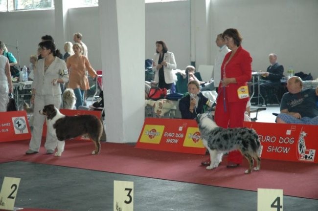 Euro Dog Show 2007 - Zagreb (8.6.2007) - foto povečava