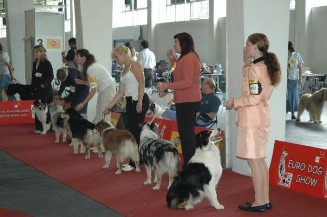 Euro Dog Show 2007 - Zagreb (8.6.2007) - foto povečava