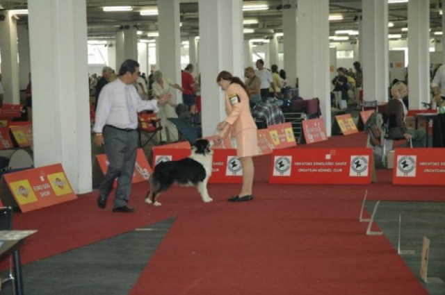 Euro Dog Show 2007 - Zagreb (8.6.2007) - foto