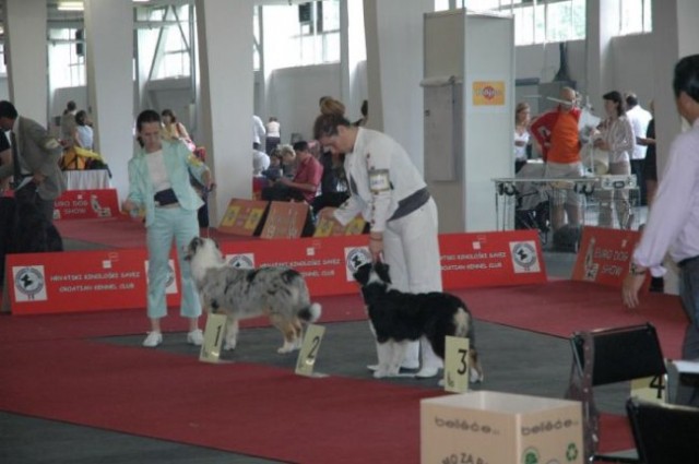 Euro Dog Show 2007 - Zagreb (8.6.2007) - foto