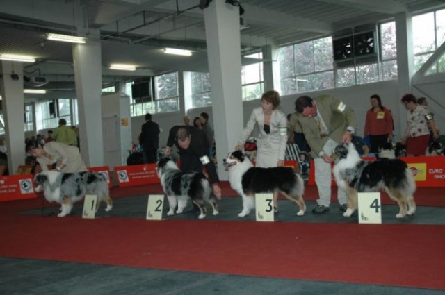 Euro Dog Show 2007 - Zagreb (8.6.2007) - foto