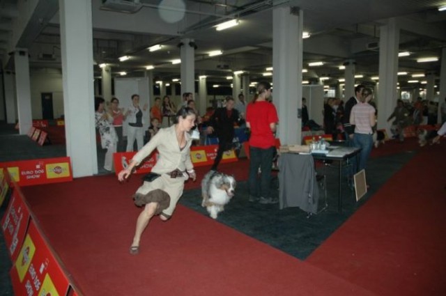 Euro Dog Show 2007 - Zagreb (8.6.2007) - foto