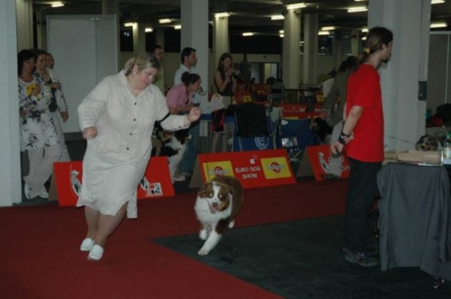 Euro Dog Show 2007 - Zagreb (8.6.2007) - foto