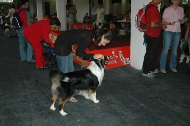 Euro Dog Show 2007 - Zagreb (8.6.2007) - foto