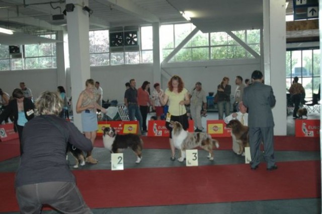 Euro Dog Show 2007 - Zagreb (8.6.2007) - foto