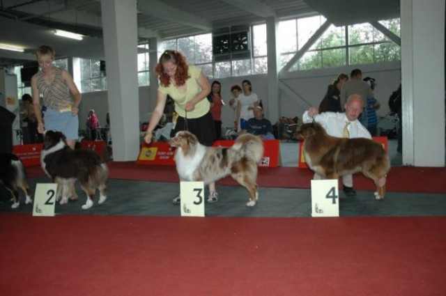 Euro Dog Show 2007 - Zagreb (8.6.2007) - foto
