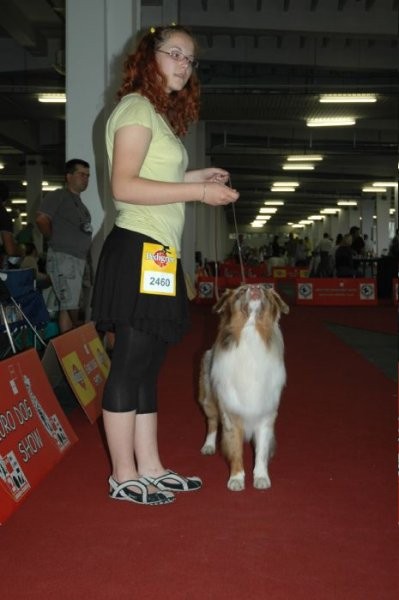 Euro Dog Show 2007 - Zagreb (8.6.2007) - foto