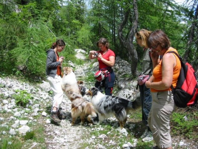 Alpine River B-leglo: 2 rojstni dan (17.6.200 - foto