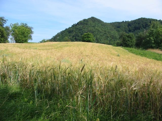 Badjurova krožna pot (30.6.-1.7.2007) - foto povečava