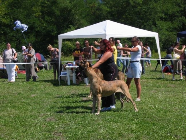 CAC Trbovlje (26.8.2008) - foto povečava