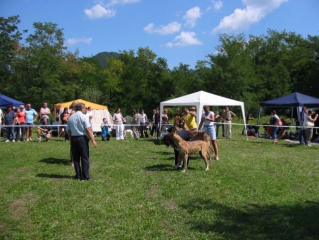 CAC Trbovlje (26.8.2008) - foto