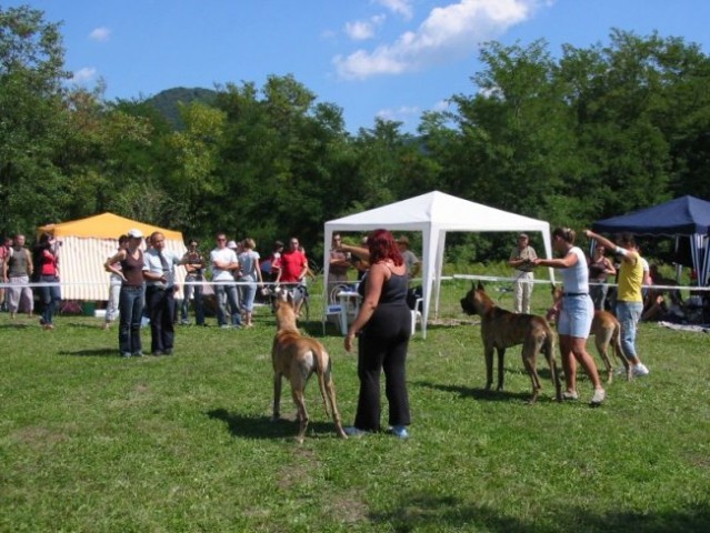 CAC Trbovlje (26.8.2008) - foto