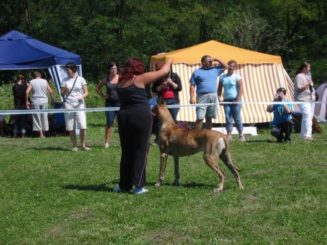 CAC Trbovlje (26.8.2008) - foto povečava