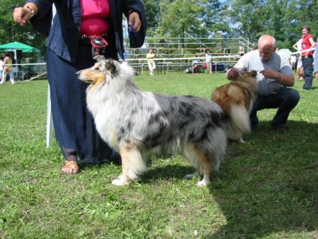 CAC Trbovlje (26.8.2008) - foto