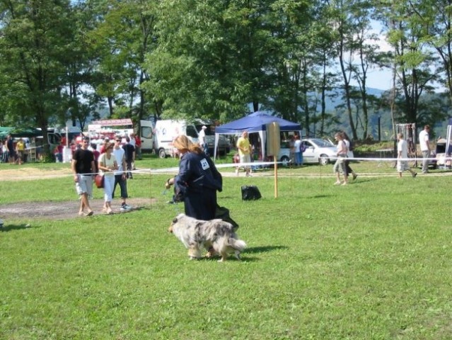 CAC Trbovlje (26.8.2008) - foto