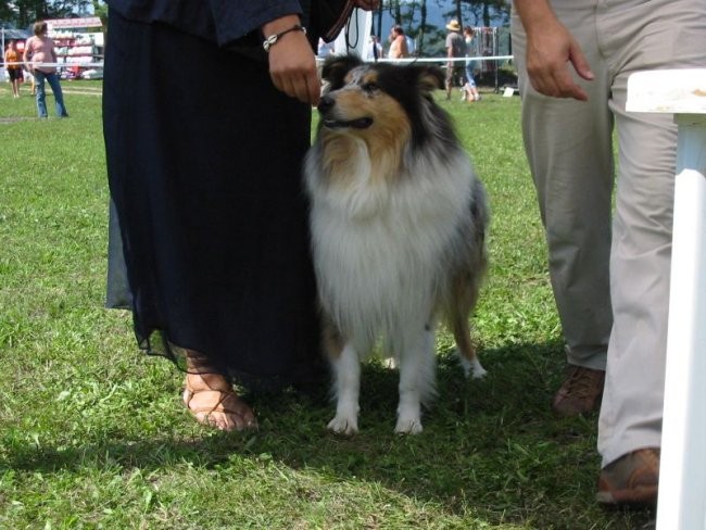 CAC Trbovlje (26.8.2008) - foto povečava