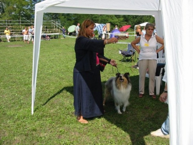 CAC Trbovlje (26.8.2008) - foto