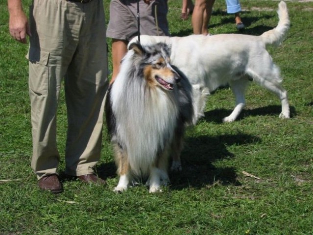 CAC Trbovlje (26.8.2008) - foto