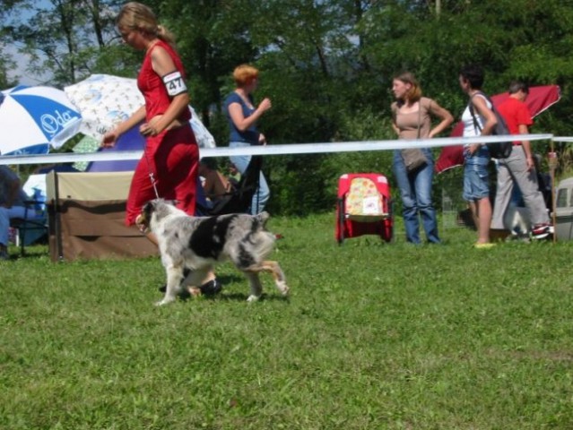 CAC Trbovlje (26.8.2008) - foto