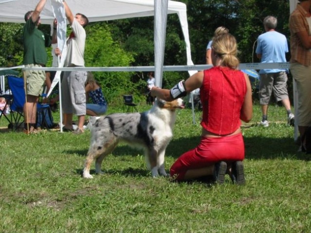 CAC Trbovlje (26.8.2008) - foto