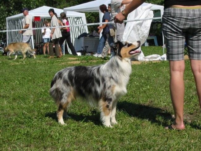 CAC Trbovlje (26.8.2008) - foto povečava