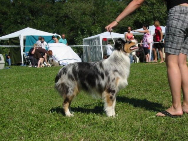 CAC Trbovlje (26.8.2008) - foto