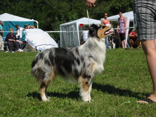 CAC Trbovlje (26.8.2008) - foto povečava